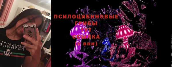 индика Аркадак