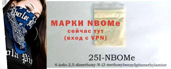индика Аркадак