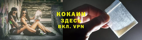 индика Аркадак