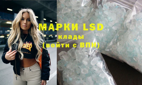 индика Аркадак