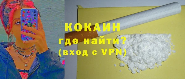 индика Аркадак